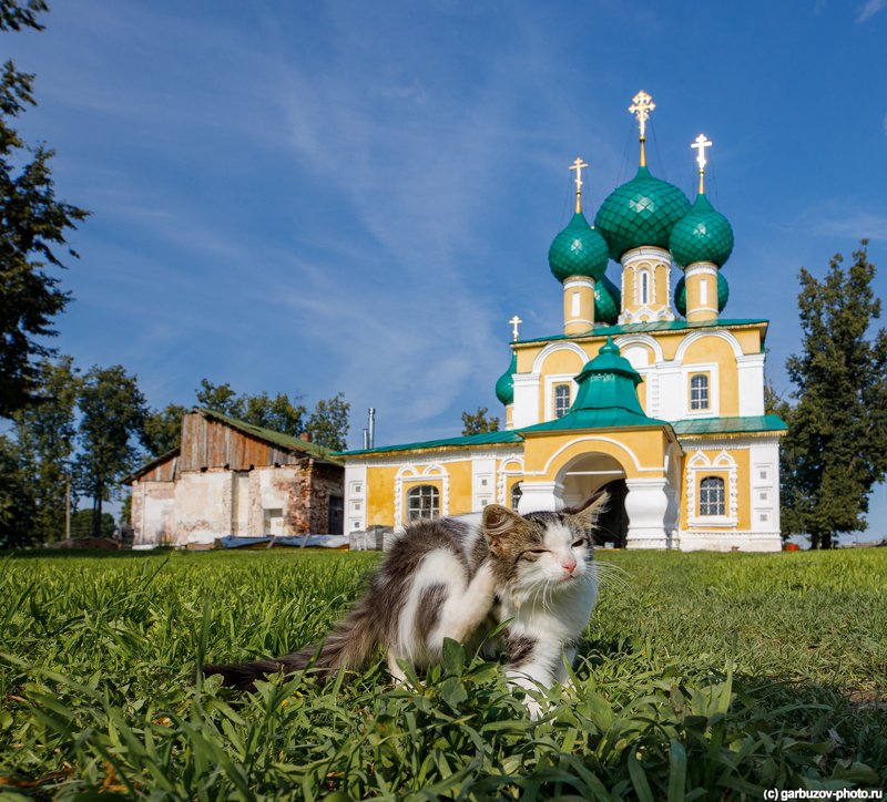 Алексеевский монастырь, Углич. фото превью