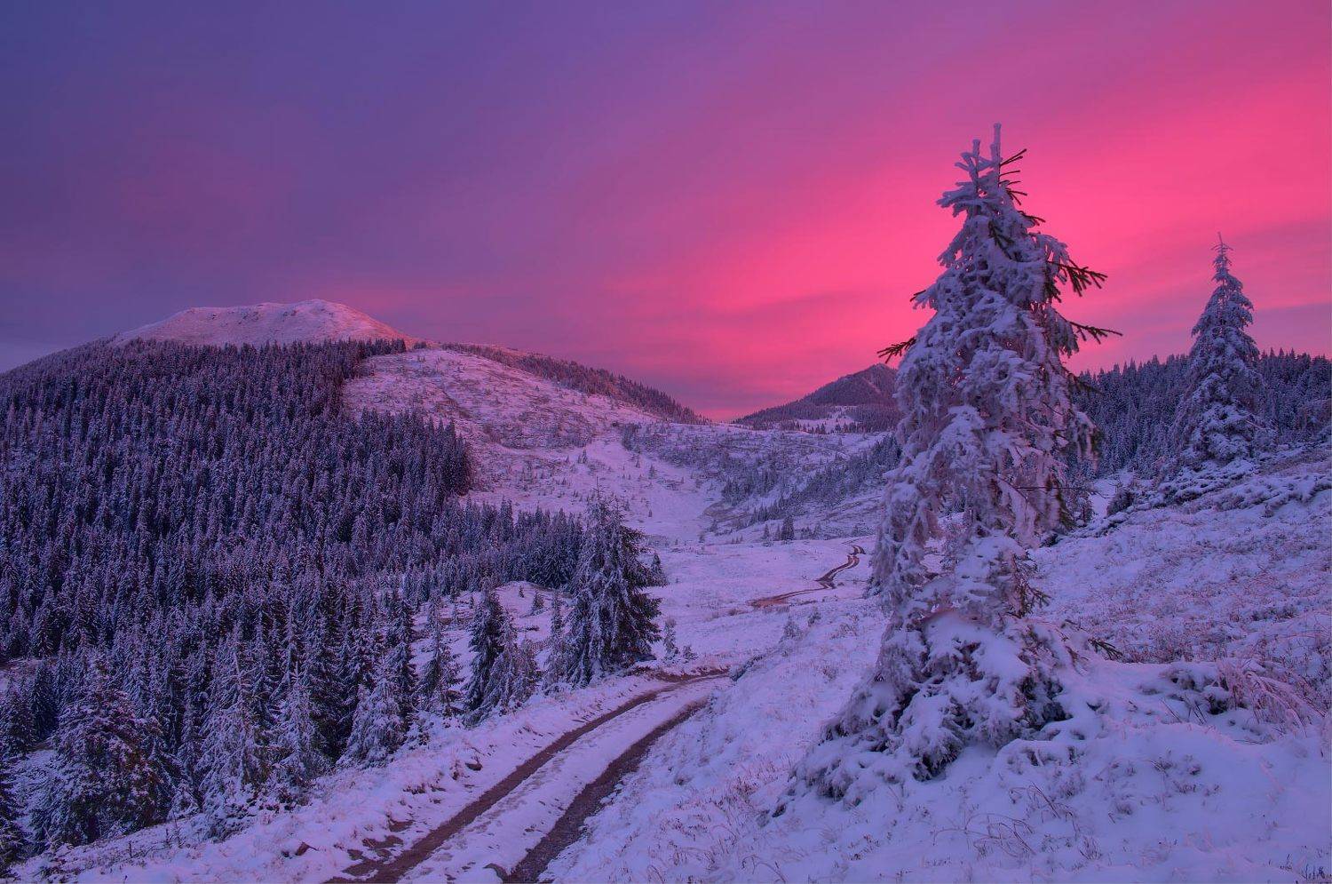 #nature, #туман, #лес, #oсень, #украина, #карпаты, #пейзаж, #закат, #туман, #солнце, #свет, #mountain range, #mountains, #туризм, #лес, #nature, #природа,, Леонид Морозов