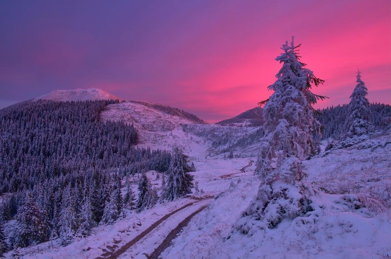 Карпати фото превью