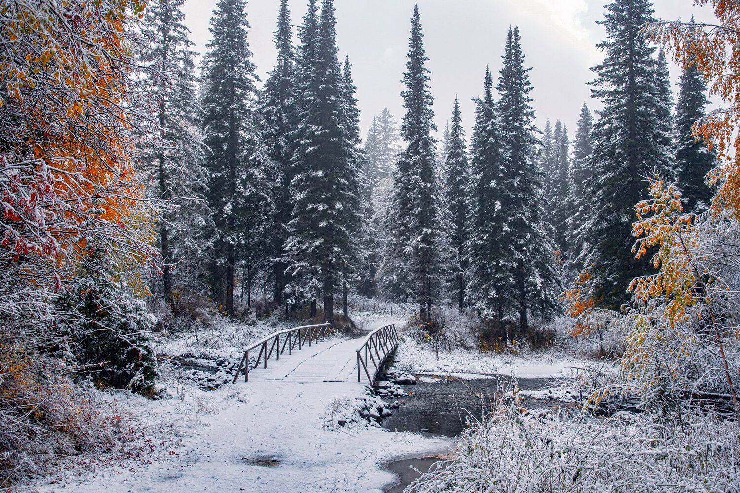 алтай. осень. горы., Евгений Дроботенко