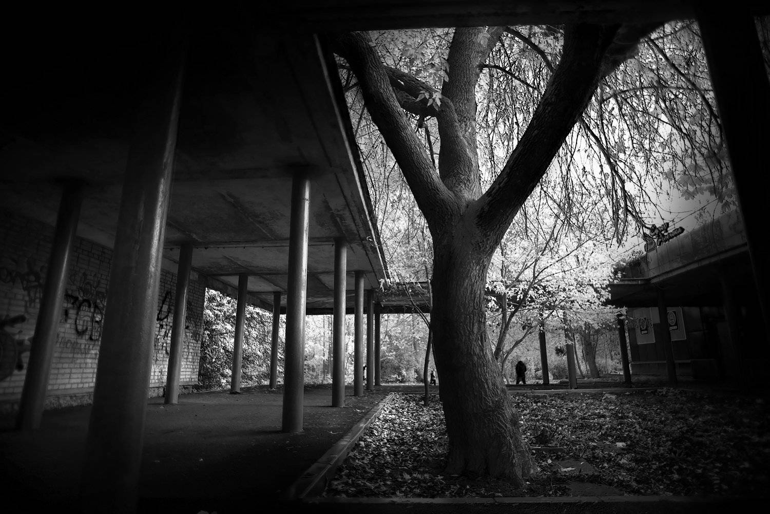 , Евгений Никитин