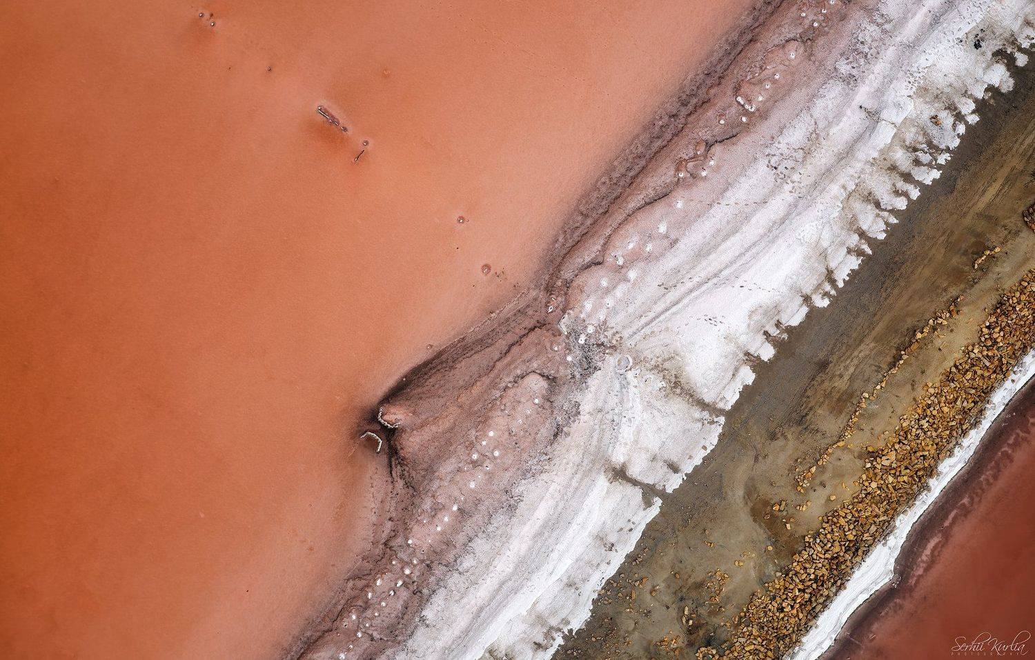 , Сергей Курля