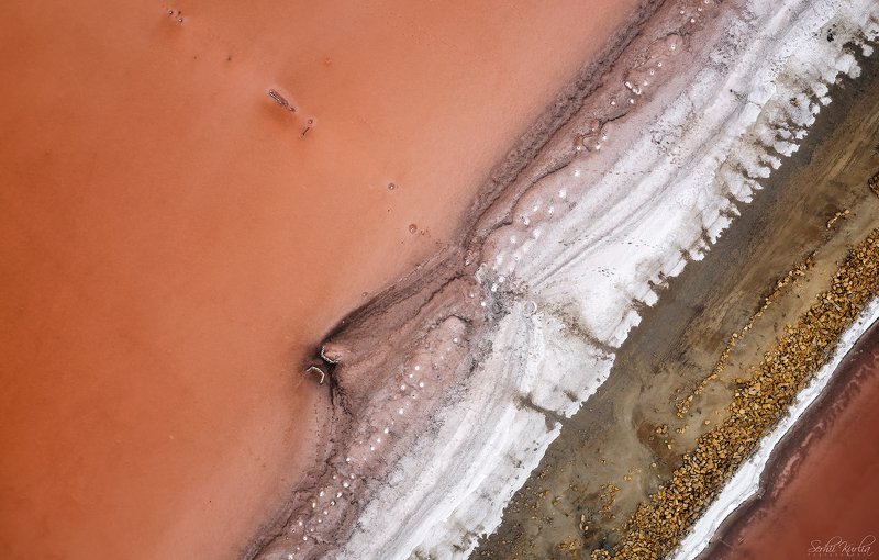 Nose фото превью