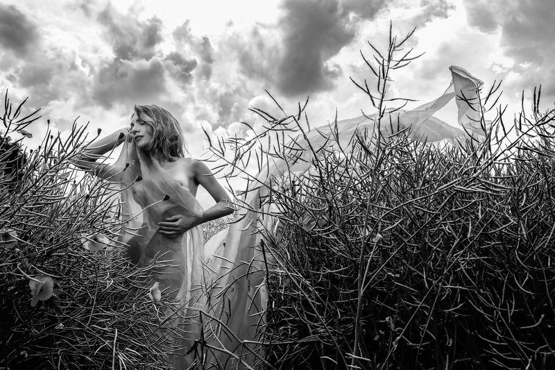 101. фото превью