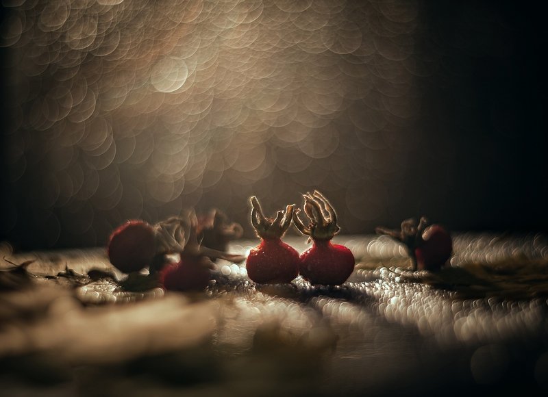 Осенняя романтика фото превью