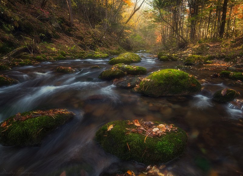 россия,приморский край,лазовский район,беневское,,свет,краски,скалы,осень,листва,валуны,дмитрий подкопаев По дороге на водопад. фото превью