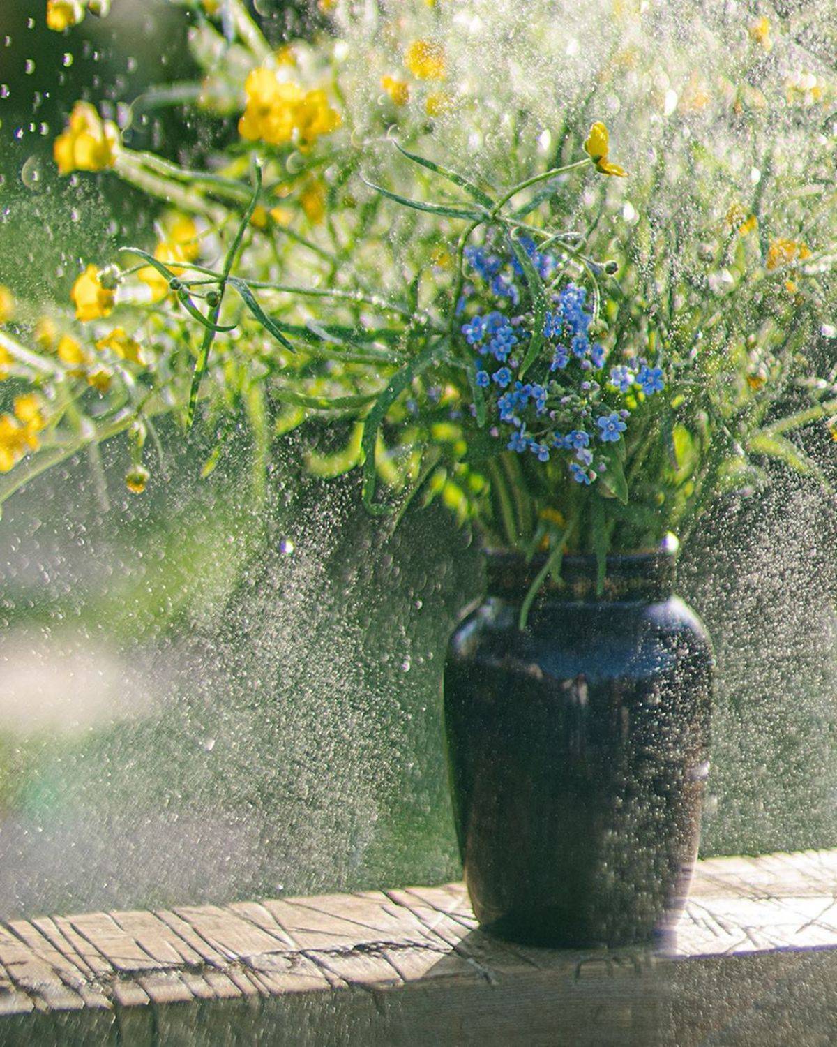 букет, цветы, желтый зеленый, свет, Анастасия Зубкова