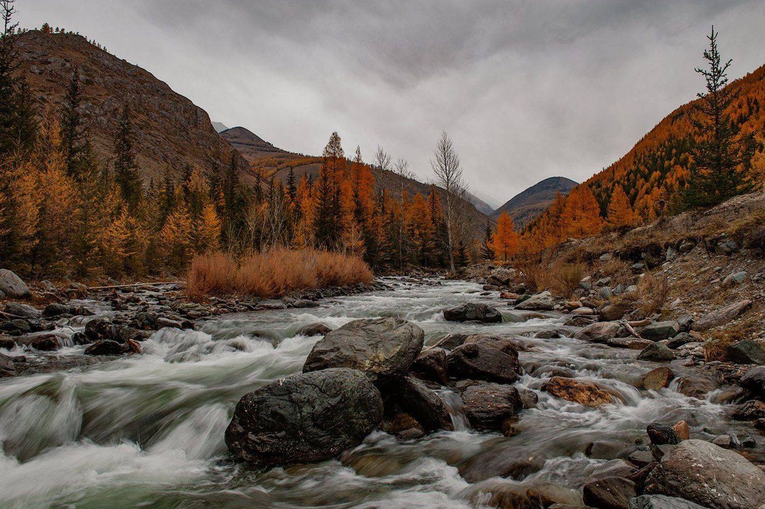 , Олег Логунов