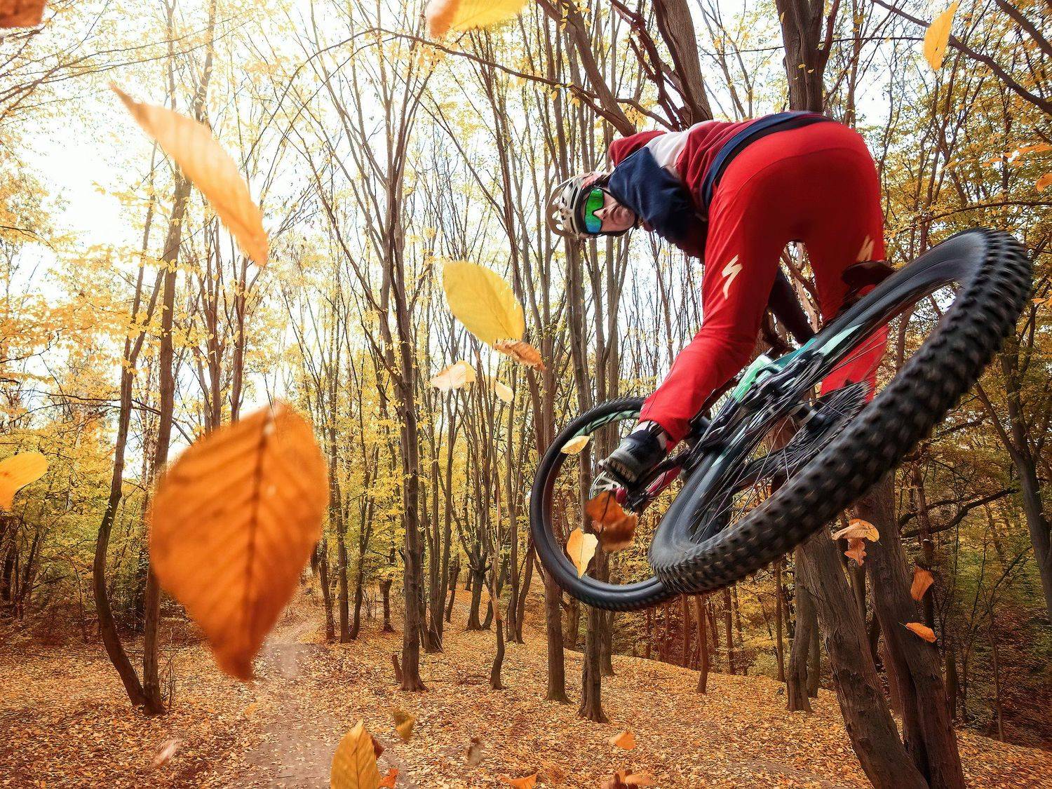 mtb, enduro, autumn, rider, jump, trick, cycle, велосипед, эндуро, осень, райдер, МТБ, трюк, экстремальный спорт, Юрий Никитюк