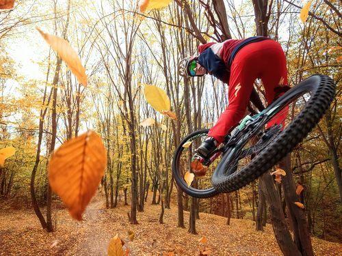 Enduro Series: Autumn Rider