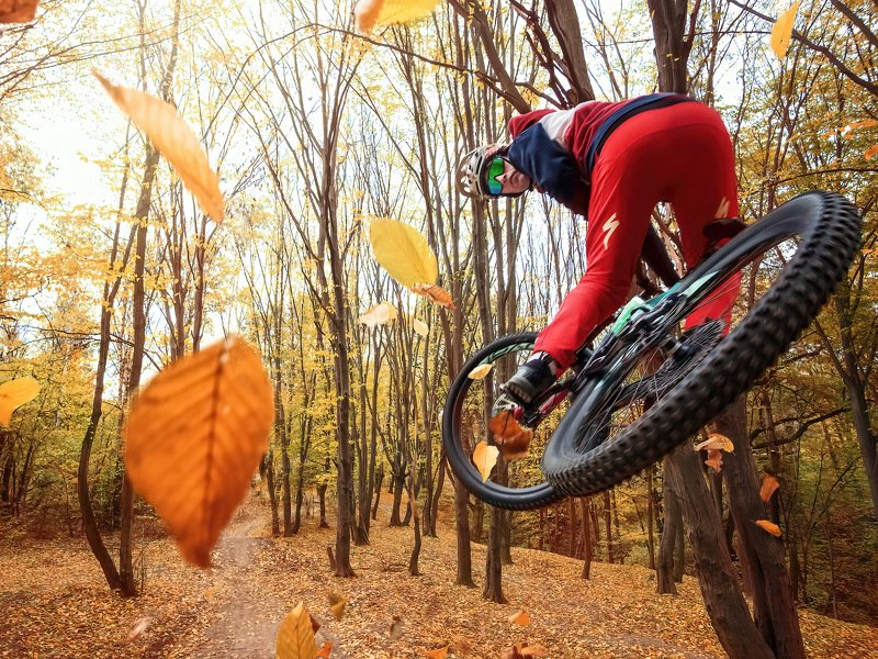 mtb, enduro, autumn, rider, jump, trick, cycle, велосипед, эндуро, осень, райдер, МТБ, трюк, экстремальный спорт Enduro Series: Autumn Rider фото превью