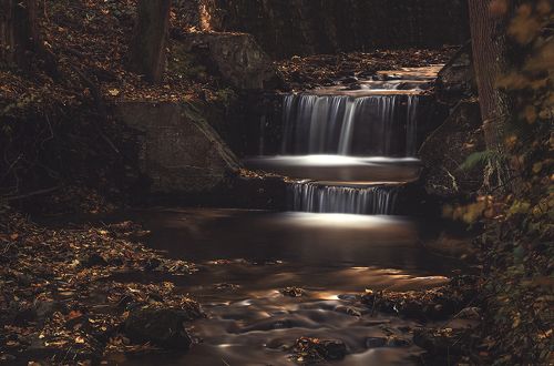 Autumn