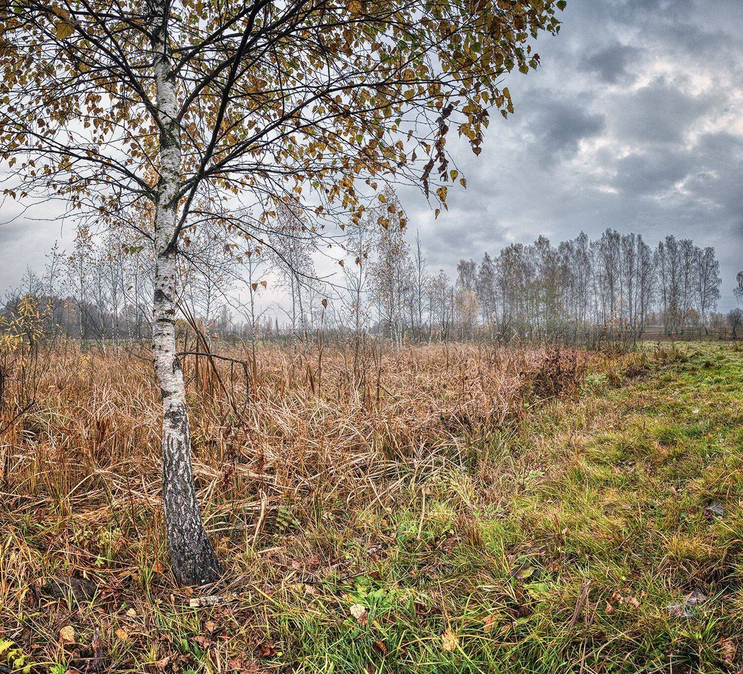 , Николай Андреев