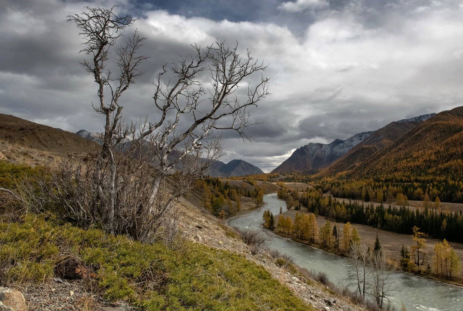 алтай, чуя. осень 2020., Марина Фомина