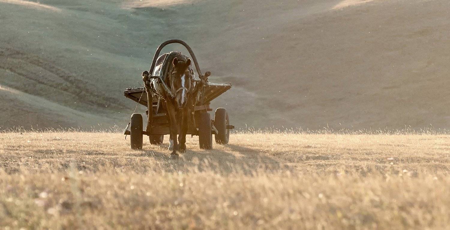 башкирия, с.юмашево. лошадь., Марина Фомина