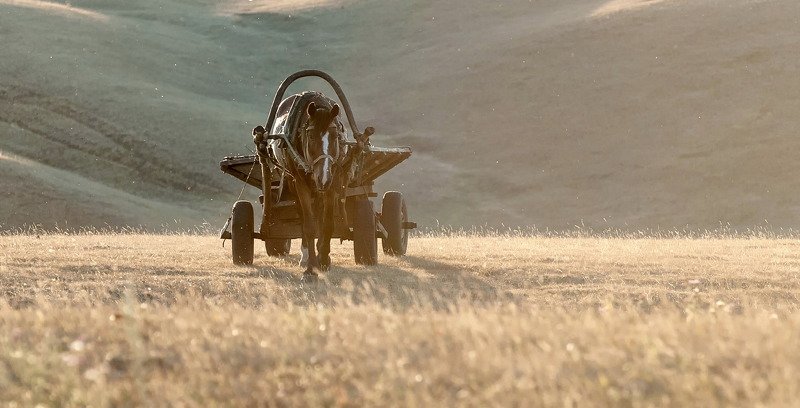 Будни. фото превью