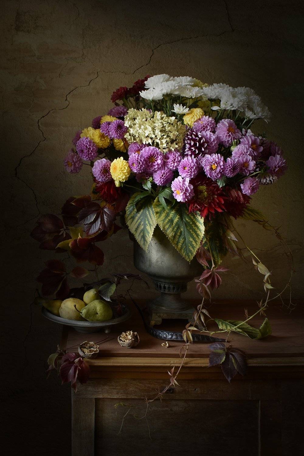 , Шипунова Ирина