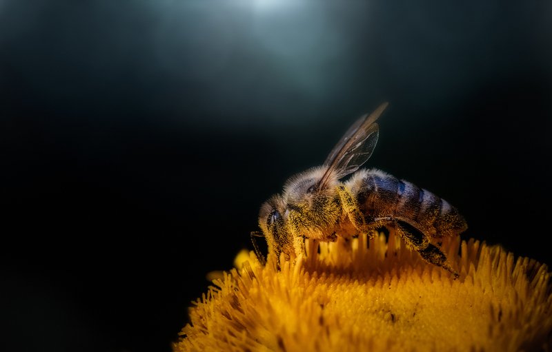 Worker фото превью