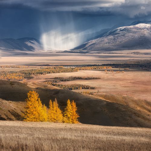 Контрасты курайской степи
