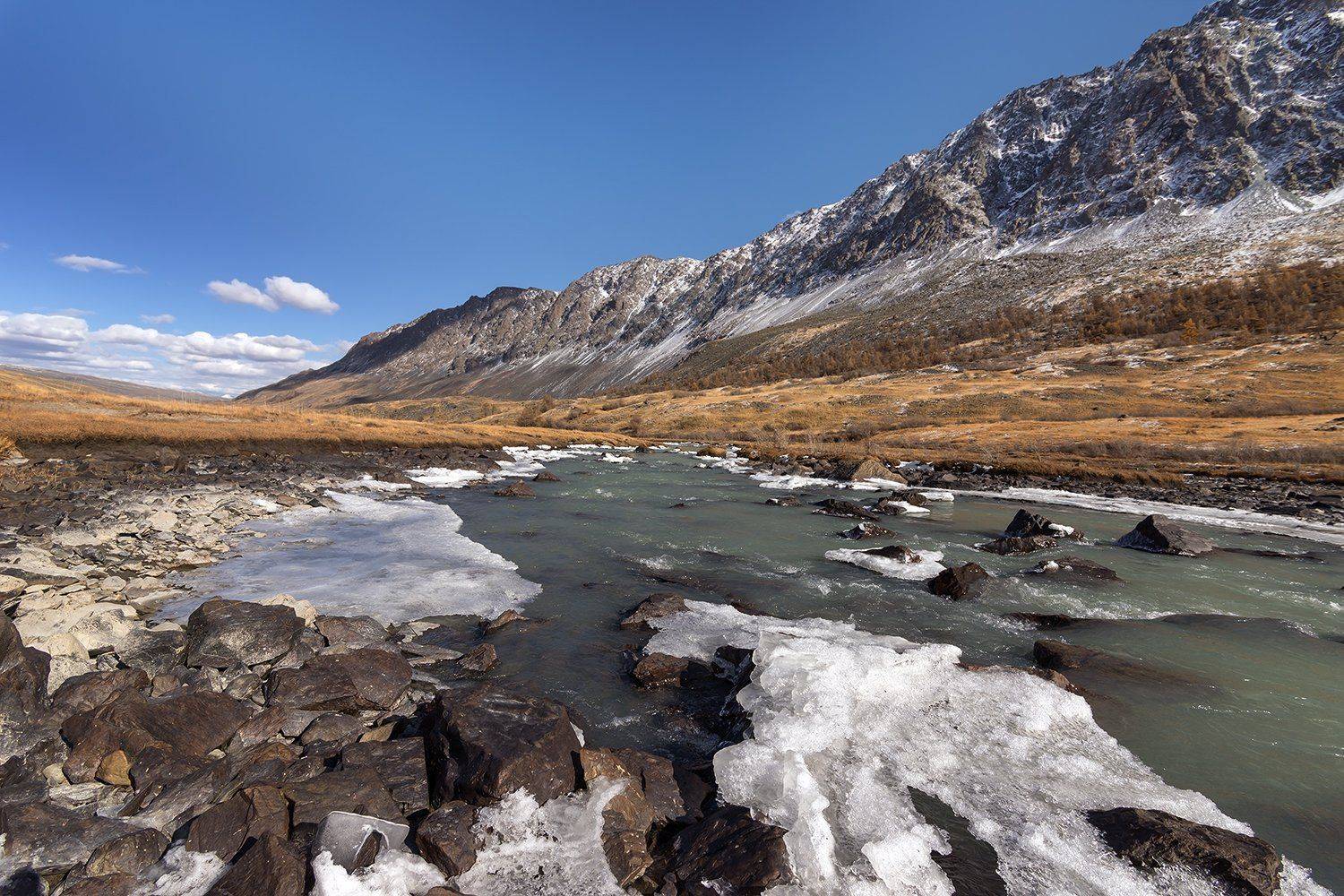 , Дмитрий Д.