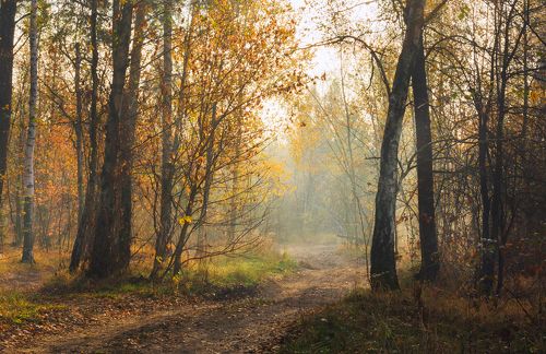 Autumn, the beautiful morning