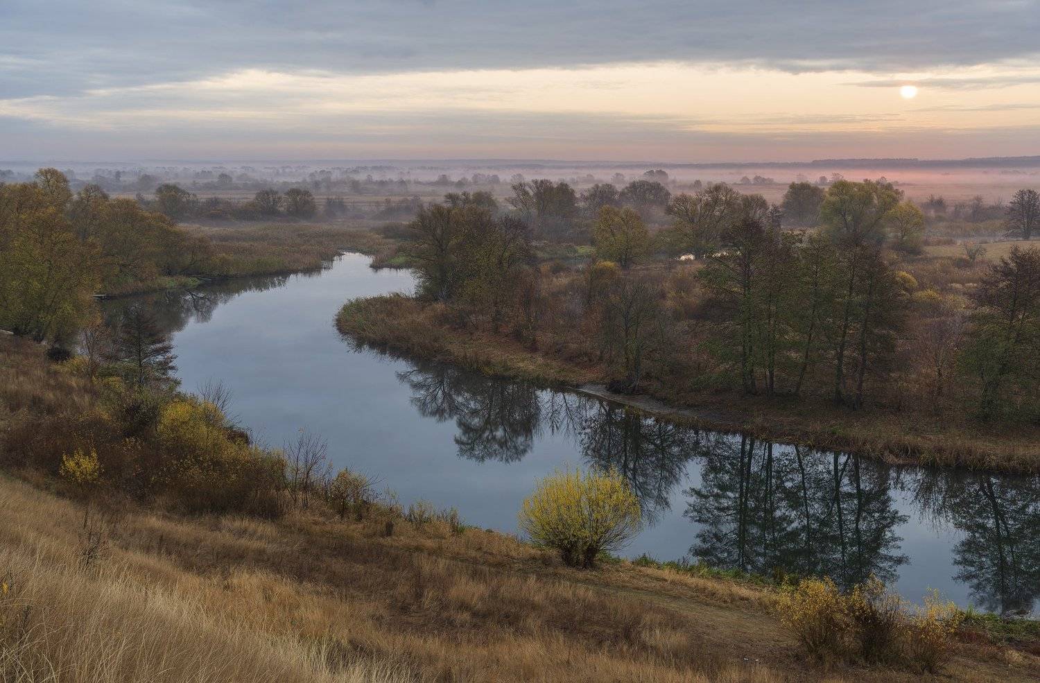 , Дмитрий Новоселов