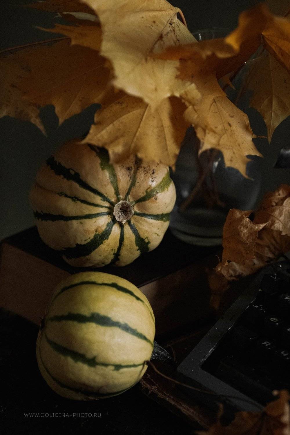 тыквы полосатики натюрморт голицына, Svetlana Golicyna