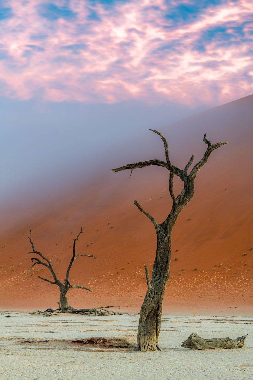 , Евгений Бушков