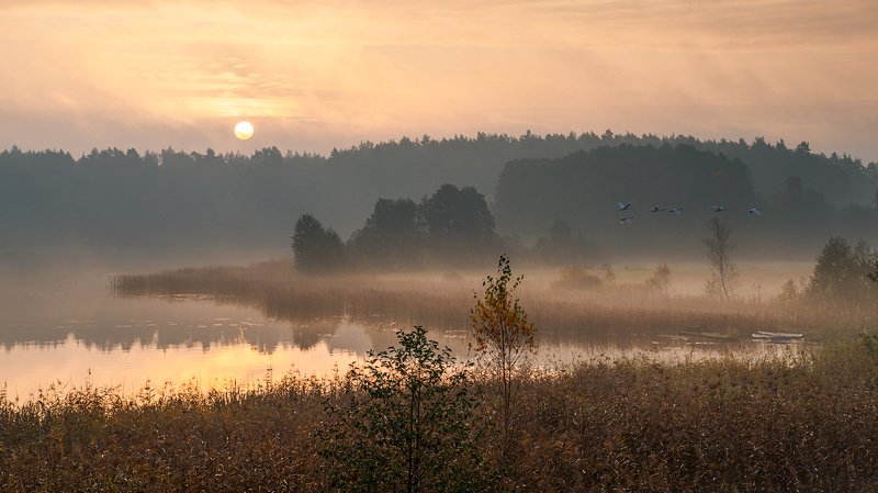 Poranny lot фото превью