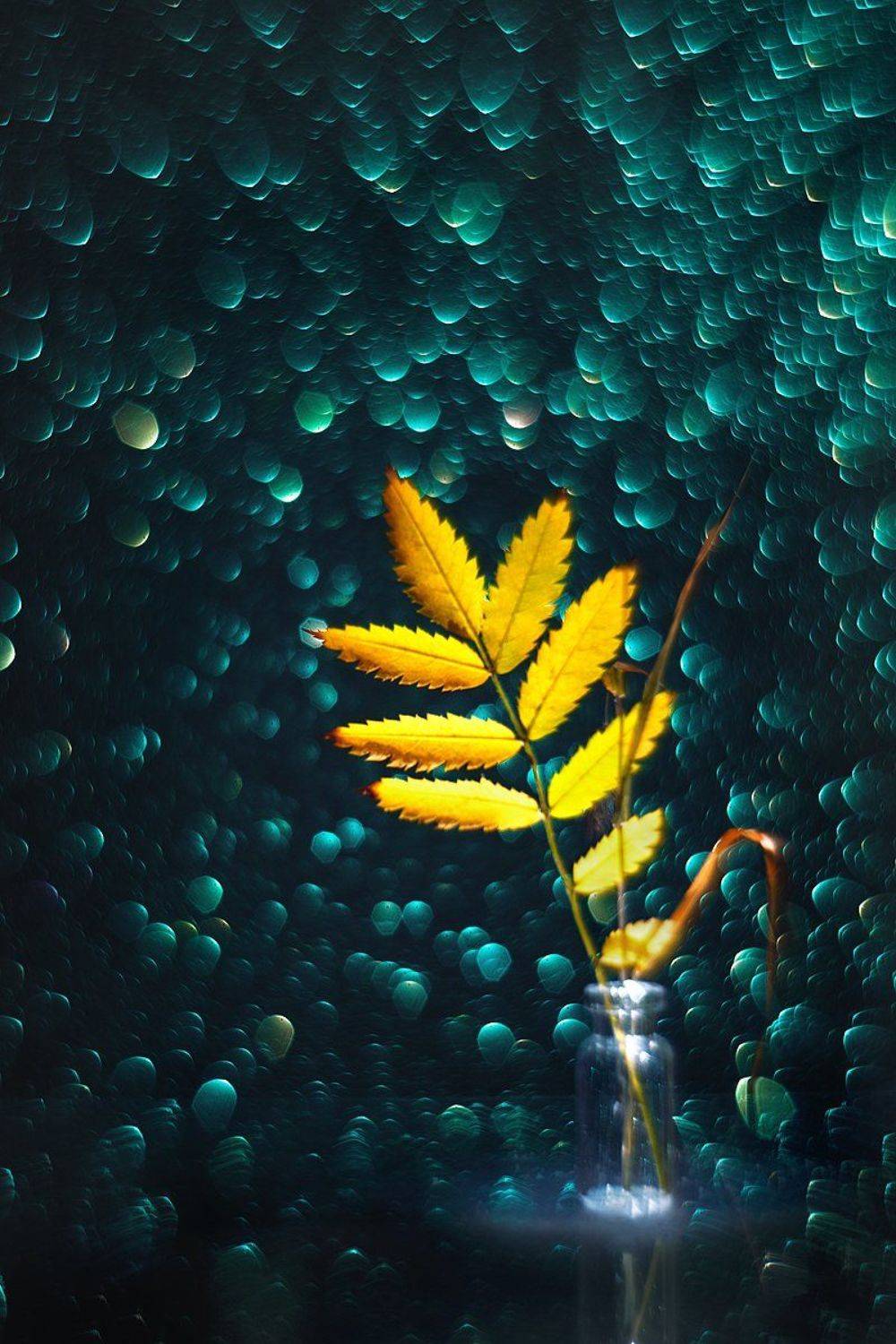 helios-44m, manual lens, мануальная оптика, beautiful, красивый, moment, момент, autumn, fall, осень, осенний, leaf, лист, rowan, рябина, still life, натюрморт, bokeh, боке,, Наталья Терентьева