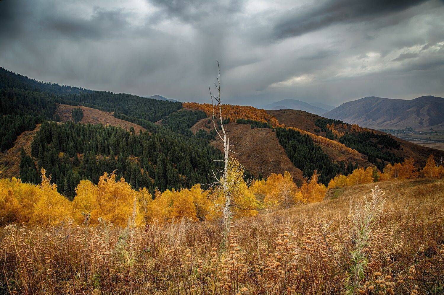 кыргызстан, горы, Элина Магалимова