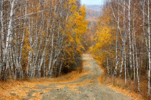 Осенняя