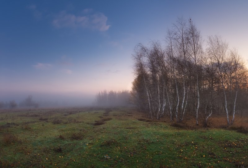 пейзаж, осень, утро, туман, березы, луг, лес, роща, меланхолия, панорама, birch, trees, road, fog, landscape, fall, morning, autumn, misty, colors, meadow, forest, panorama, foggy, wood, season, melancholy, sadness Осенняя меланхолия .. фото превью