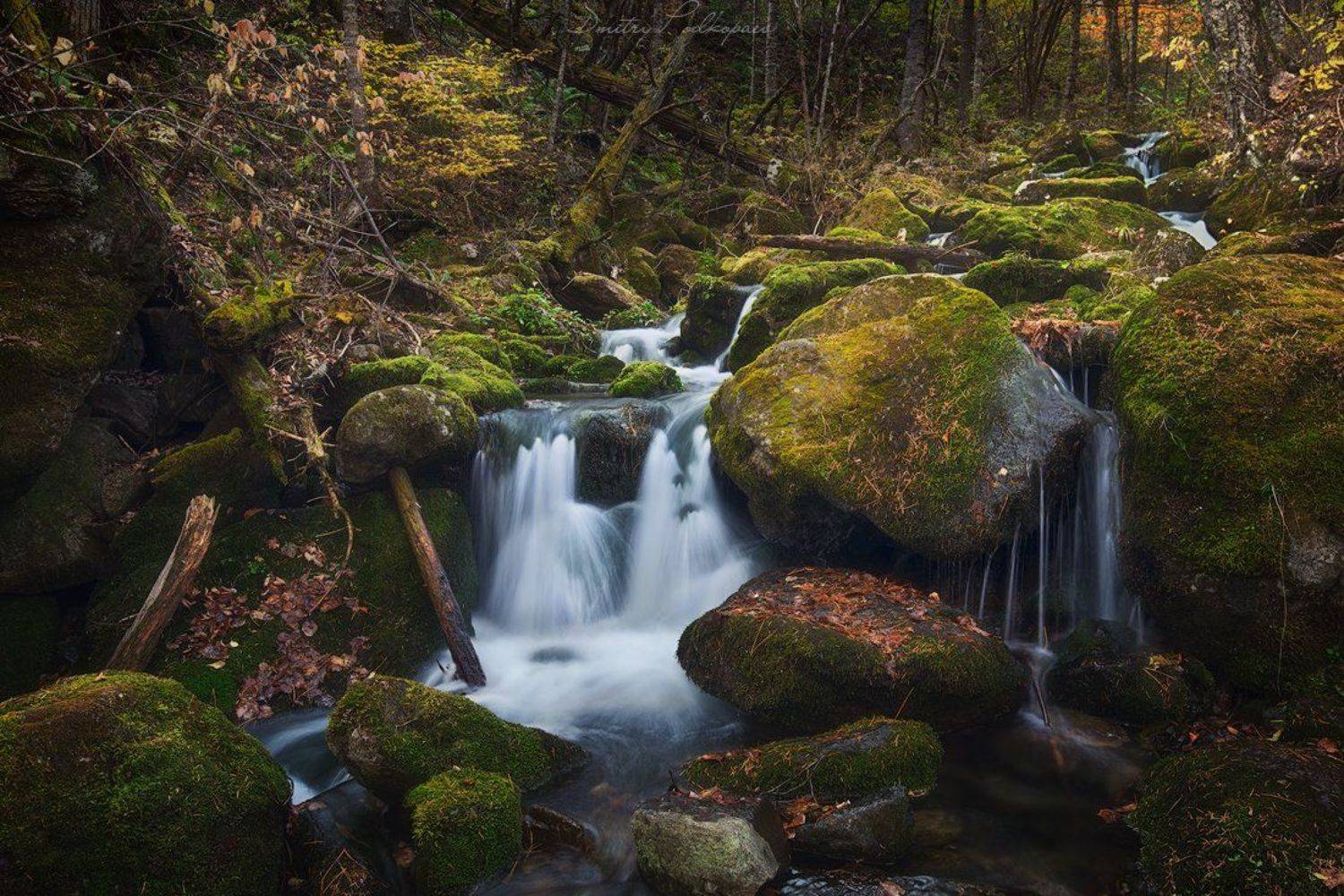 россия,приморский край,лазовский район,беневское,свет,краски,скалы,осень,листва,валуны,дмитрий подкопаев, Дмитрий Подкопаев