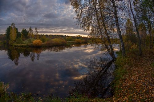 Тихое утро на маленькой речке