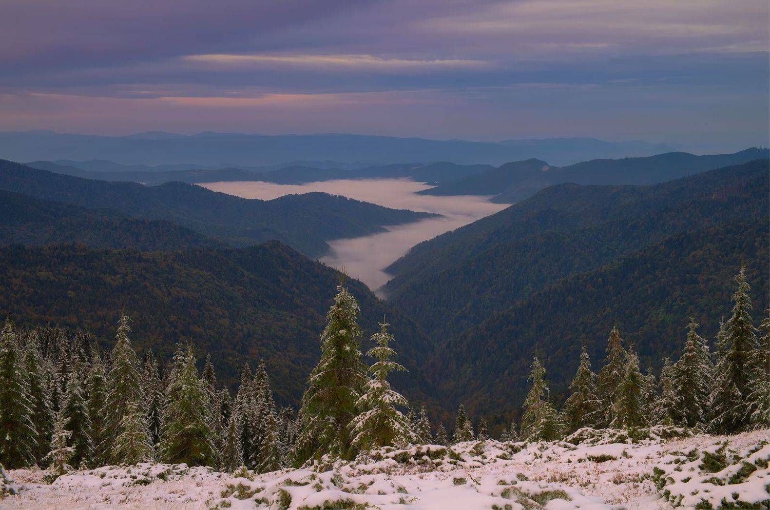 #nature, #туман, #лес, #oсень, #украина, #карпаты, #пейзаж, #закат, #туман, #солнце, #свет, #mountain range, #mountains, #туризм, #лес, #nature, #природа,, Леонид Морозов