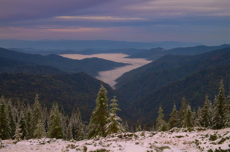 #nature, #туман, #лес, #oсень, #украина, #карпаты, #пейзаж, #закат, #туман, #солнце, #свет, #mountain range, #mountains, #туризм, #лес, #nature, #природа, *** фото превью