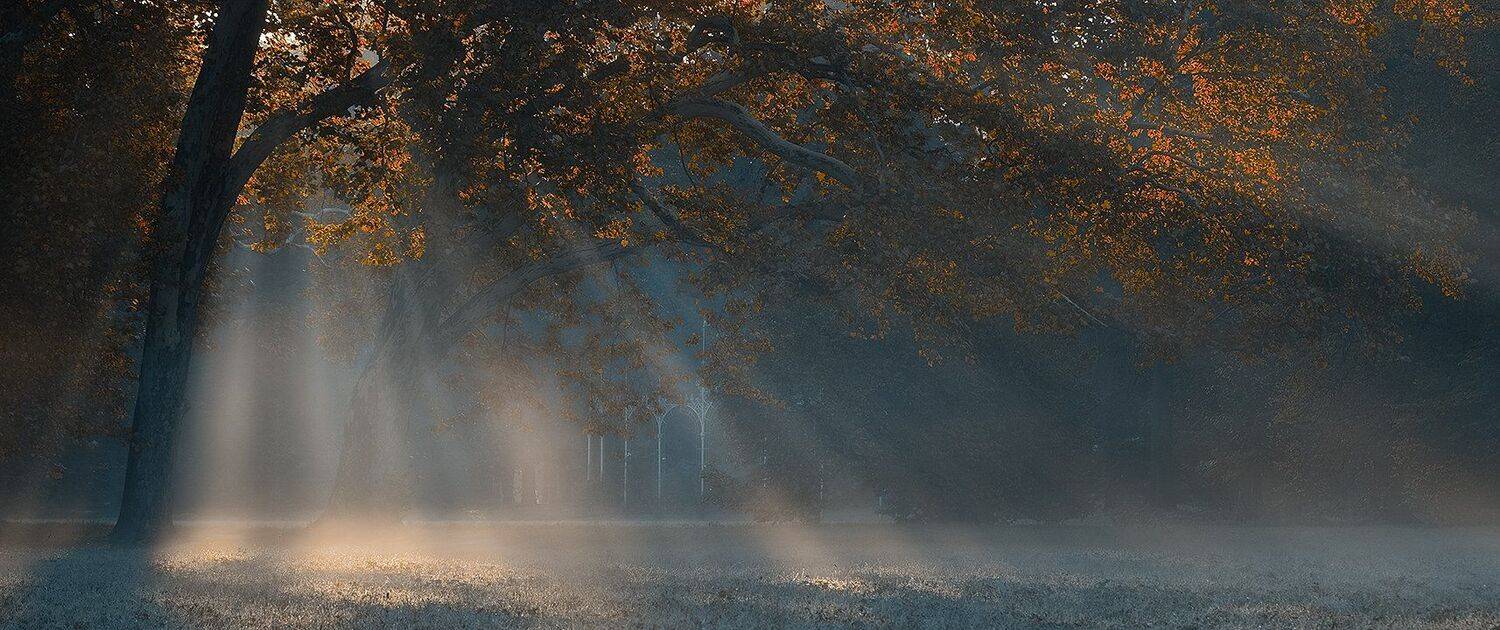 , Robert Adamec