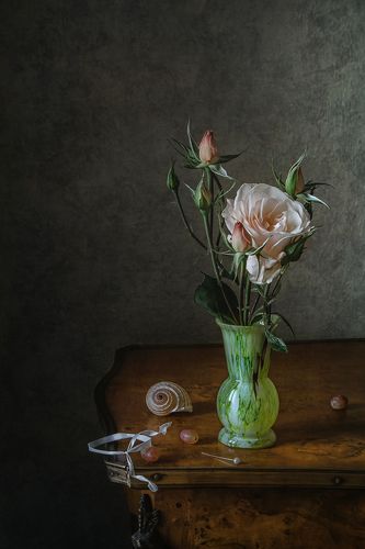 Розы бледный шёлк