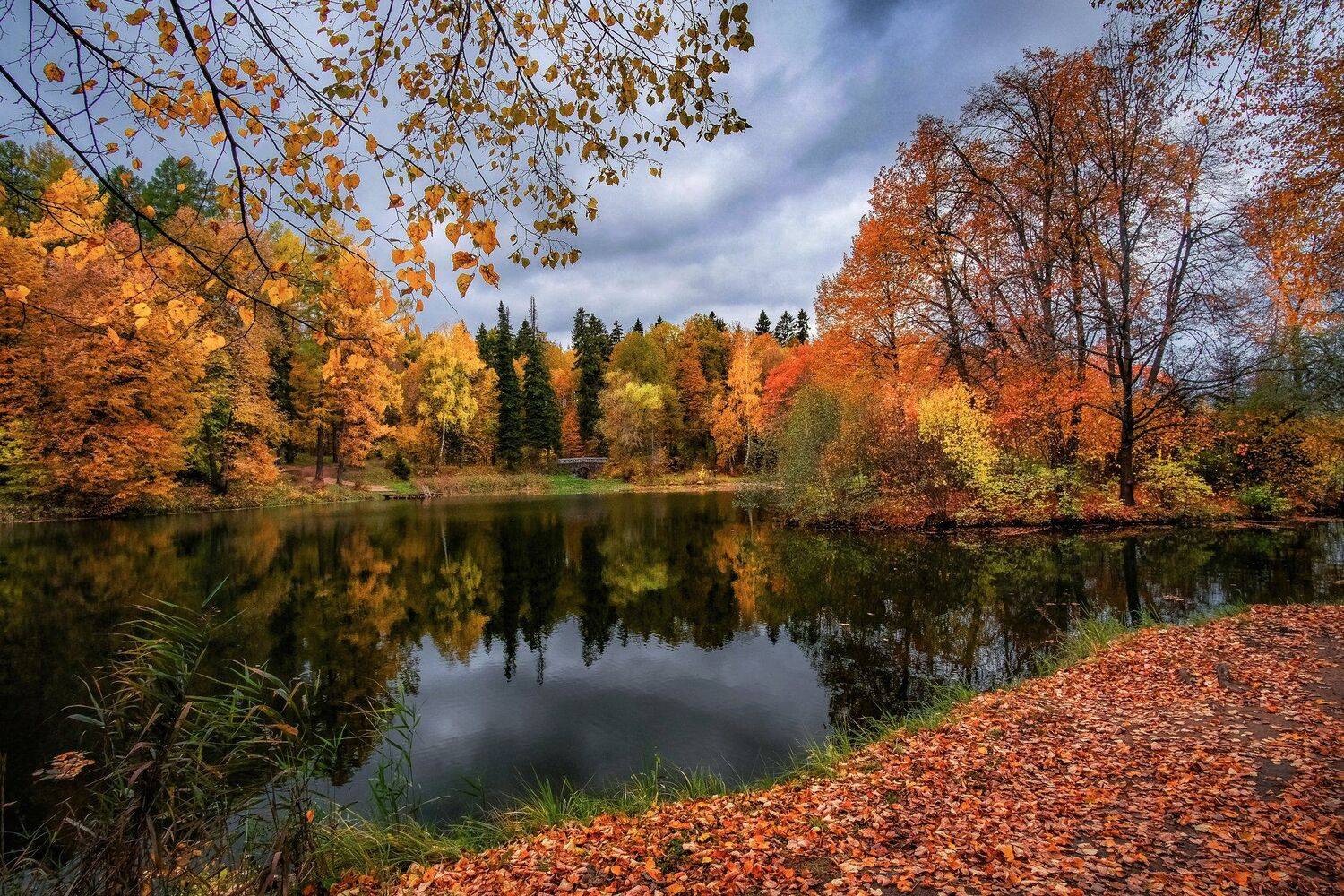 , Екатерина