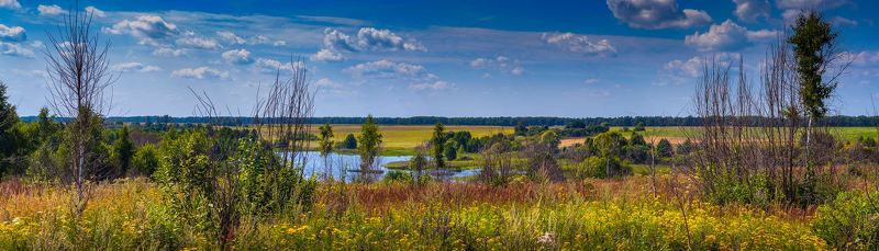 Высокий берег р. Судынка фото превью
