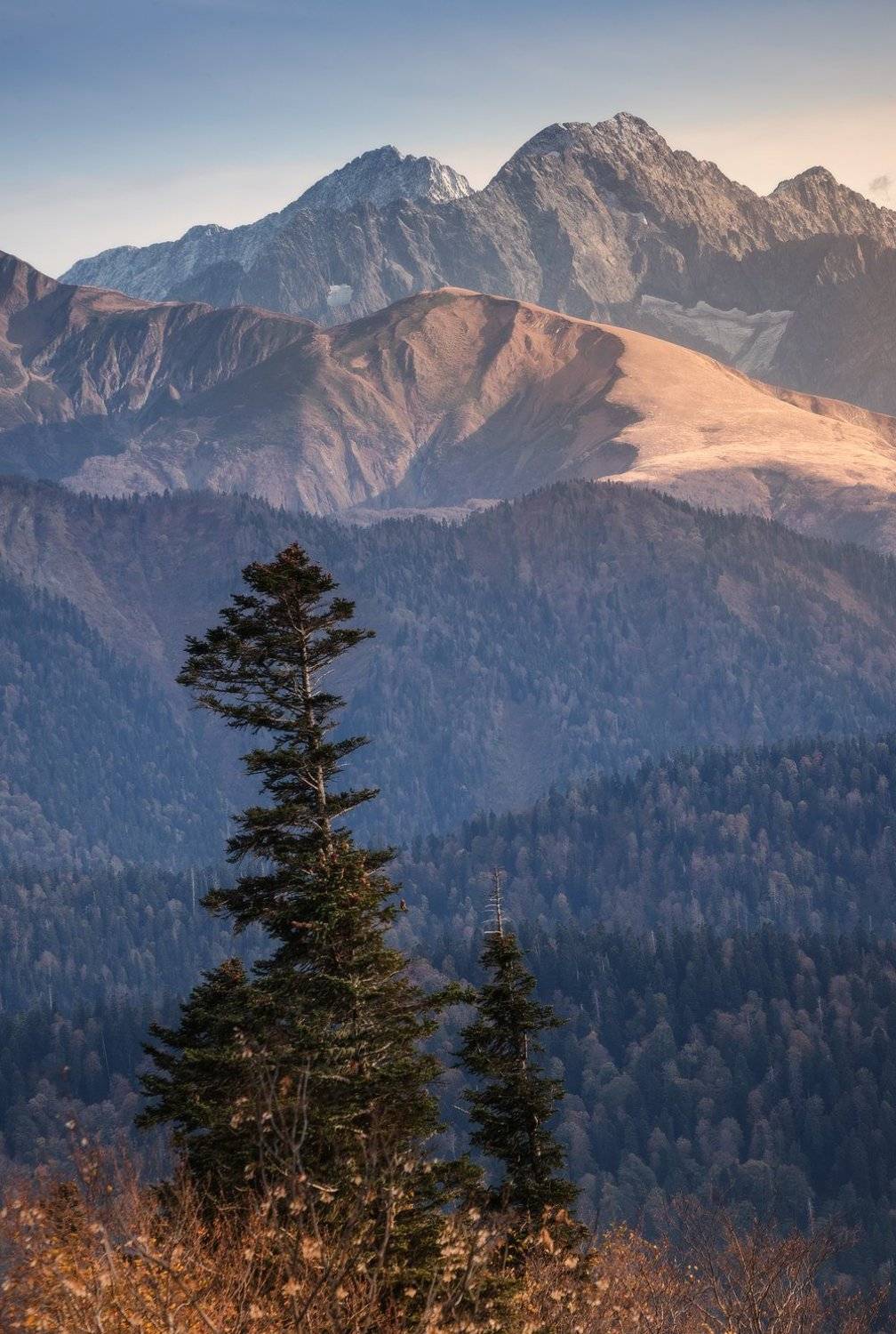 , Михаил Гапонов