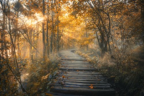 plitvice lakes 