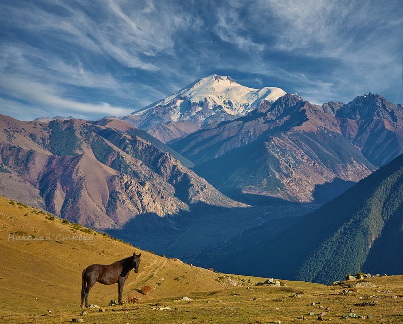 конь, кавказ, горы, осень, эльбрус Дайте мне волю... фото превью