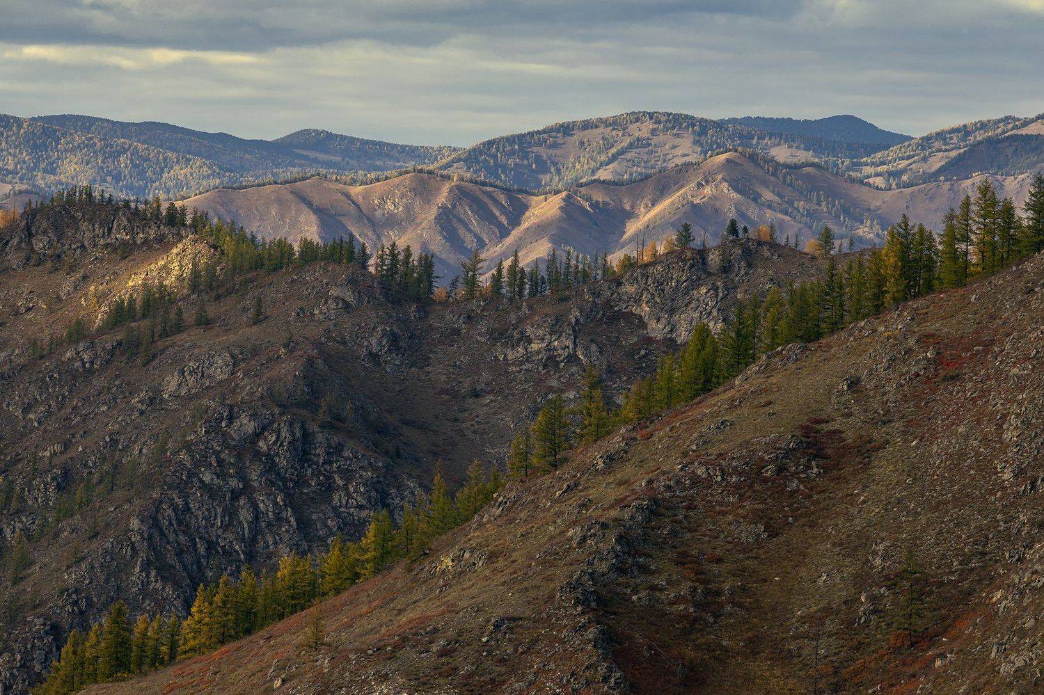 , Елена Маковоз