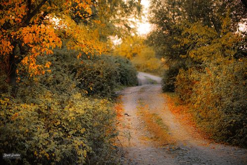 Autumn notes..