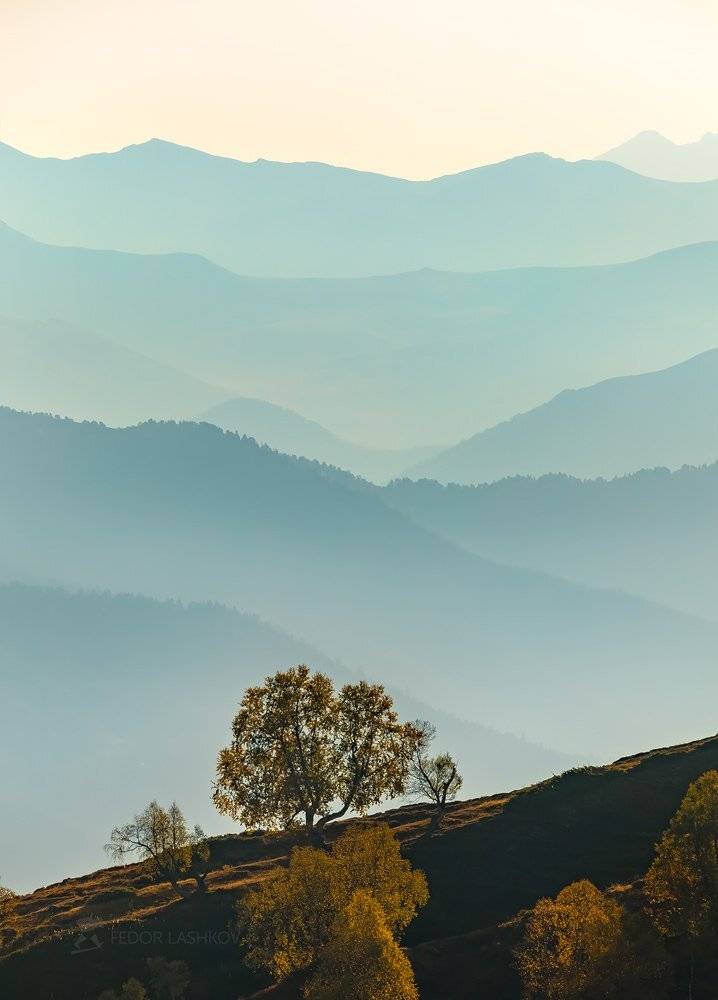 горы, гора, долина, кавказ, кавказские горы, архыз, туман, дымка, туманный, хребет, склон, вершина, акварель, дерево, осень,, Лашков Фёдор
