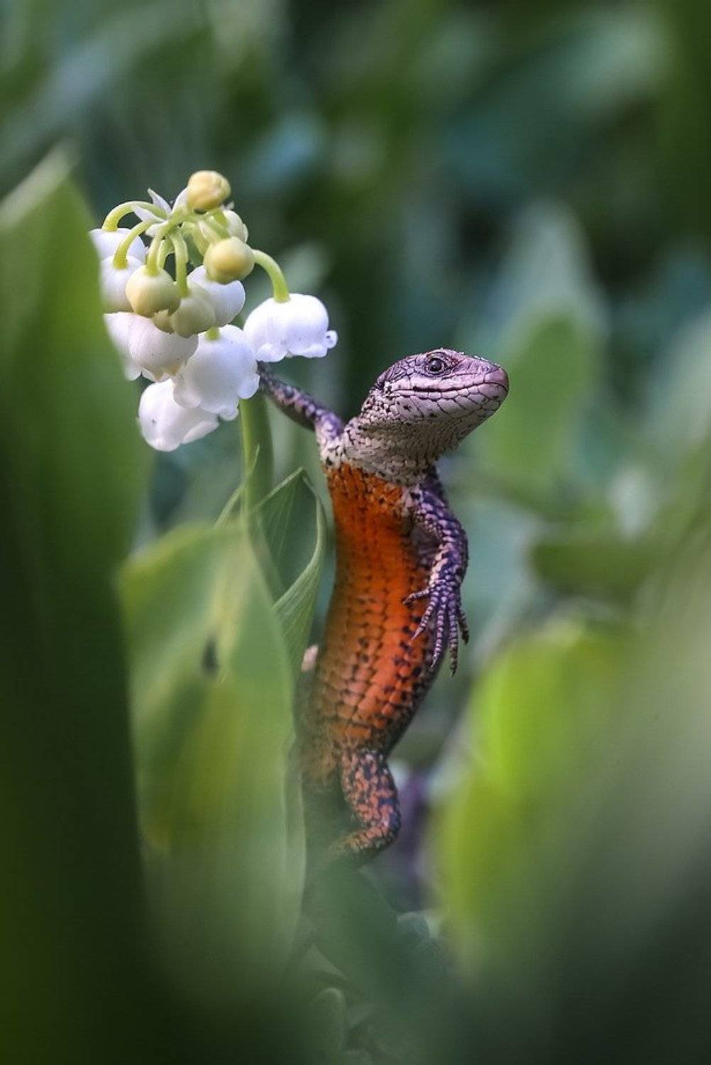 , Вячеслав Мищенко