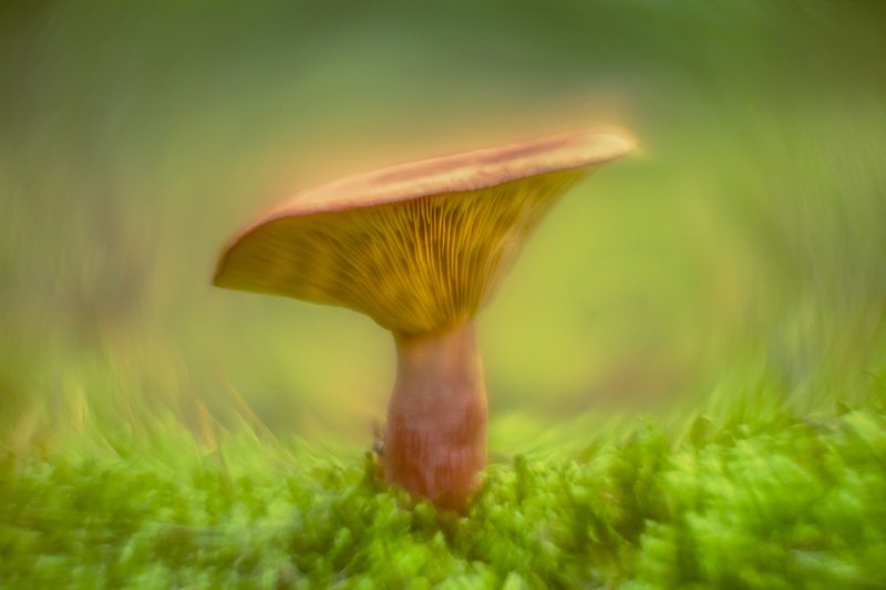 From other side фото превью