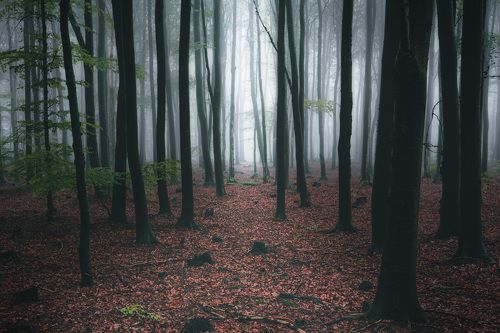 Toward the light